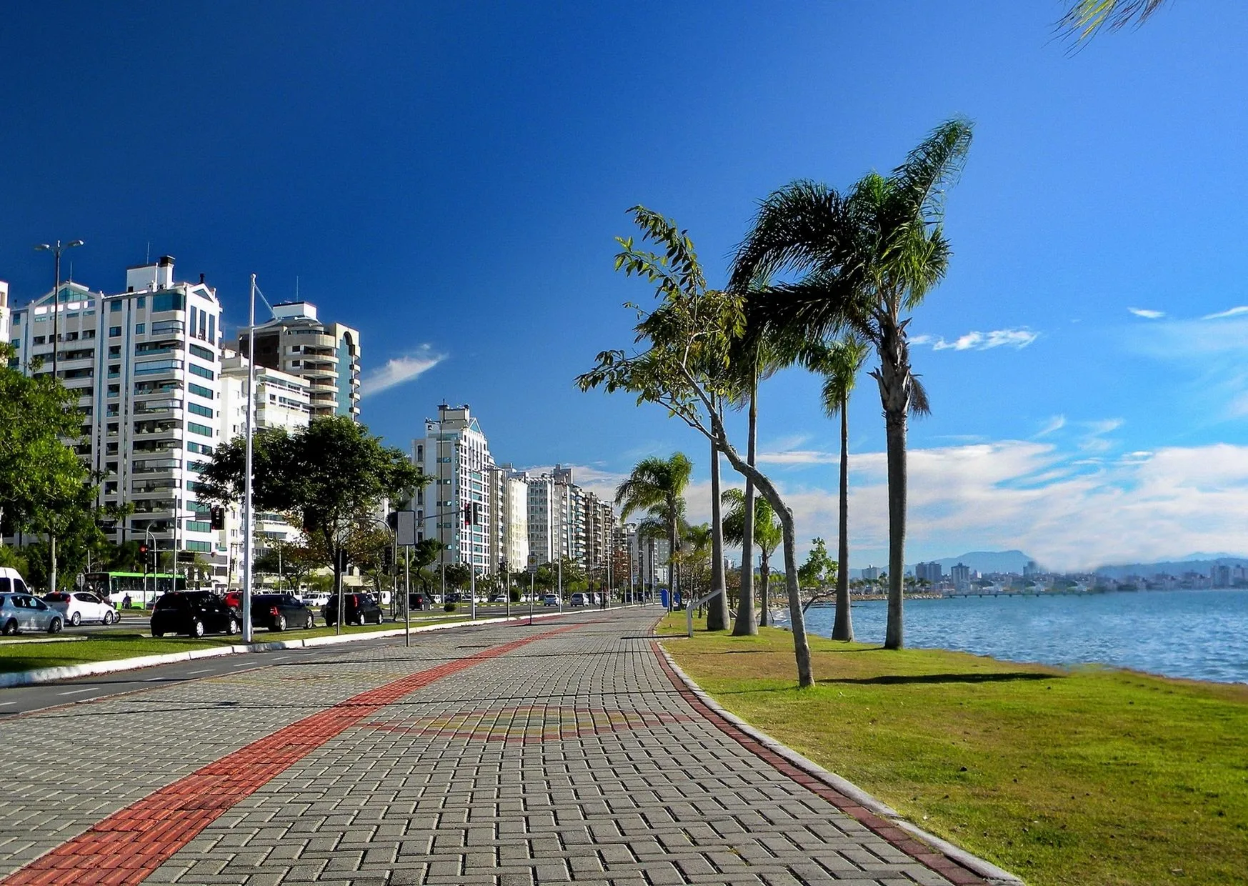CAU-SC fecha com Instituto Quadrix e deixa novo concurso mais perto do edital - Imagem do artigo